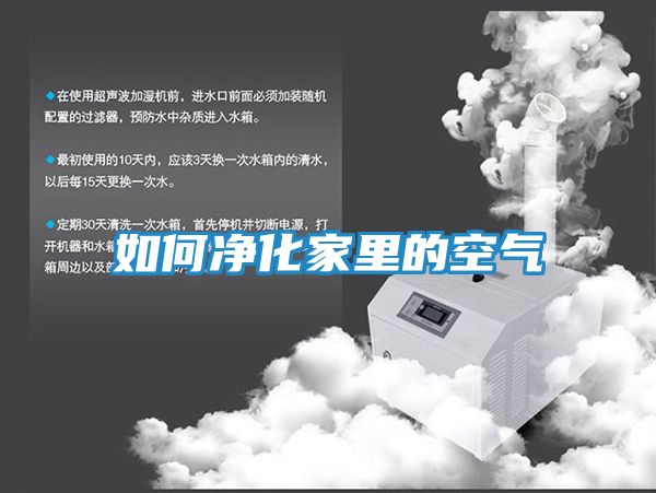 如何净化家里的空气