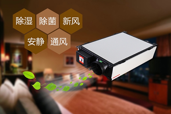 解决地下室的潮湿问题,除湿机可以解决且效果非常好