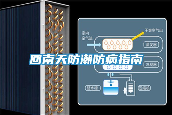 回南天防潮防病指南