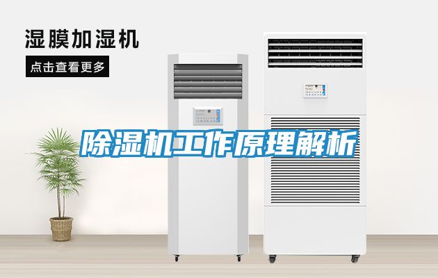 除湿机工作原理解析