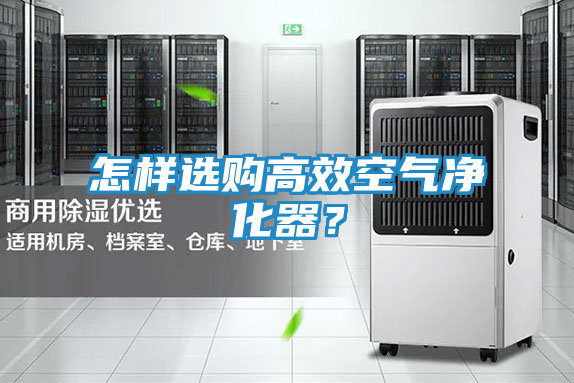 怎样选购高效空气净化器?