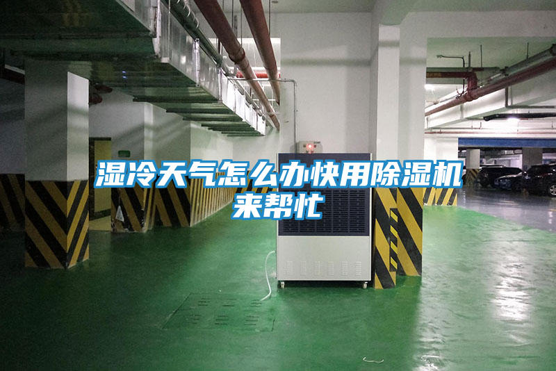 湿冷天气怎么办快用除湿机来帮忙