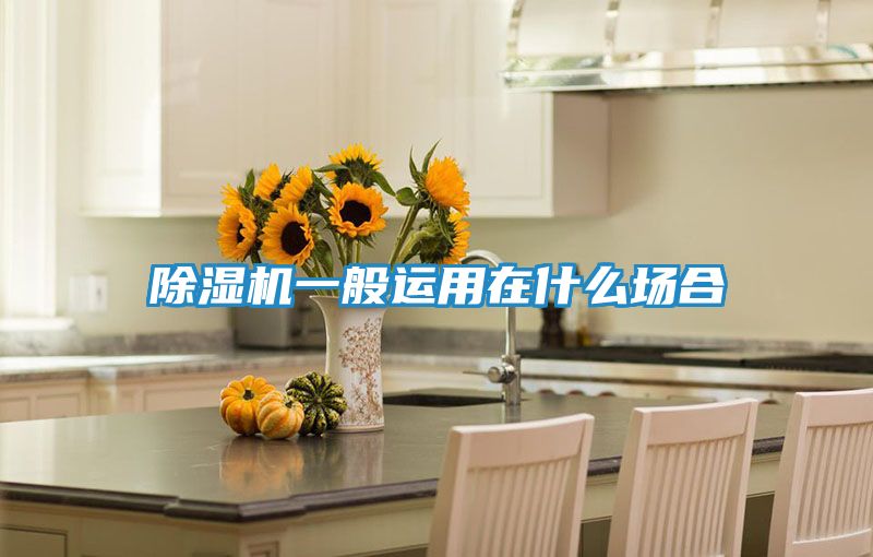 除湿机一般运用在什么场合