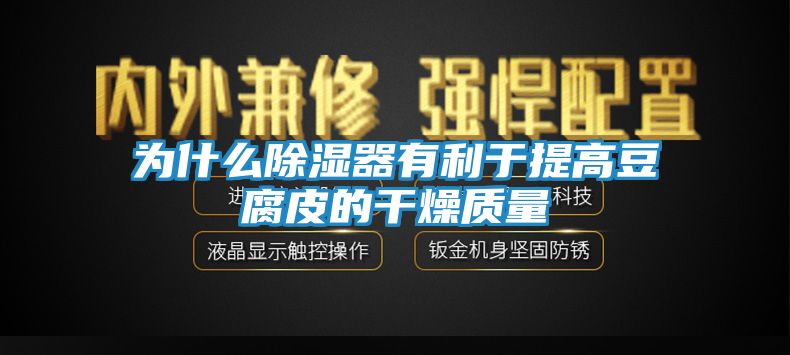 为什么除湿器有利于提高豆腐皮的干燥质量