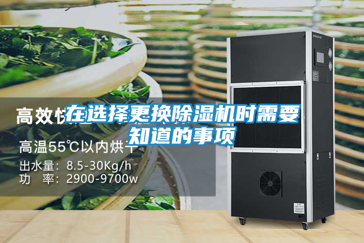 在选择更换除湿机时需要知道的事项