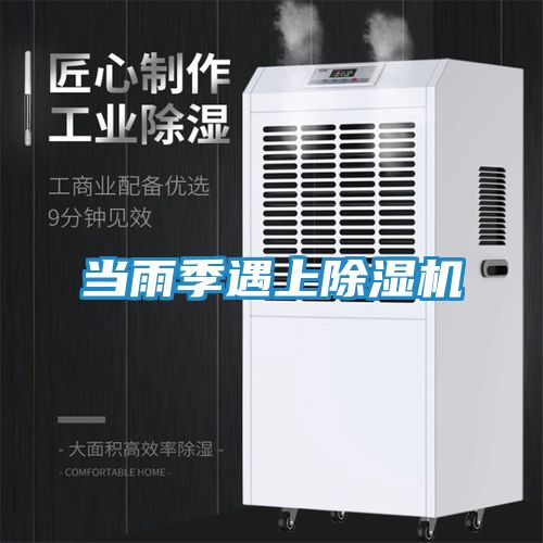 当雨季遇上除湿机