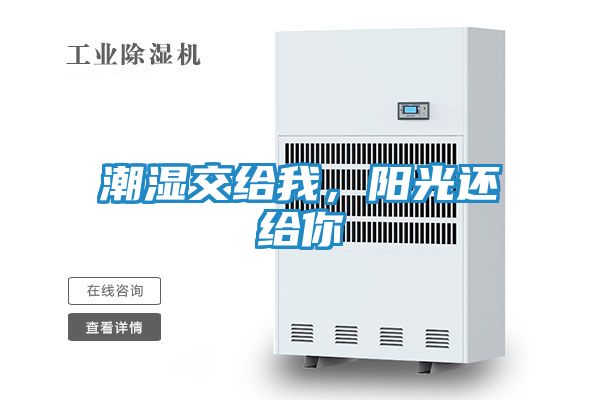 潮湿交给我，阳光还给你