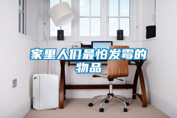 家里人们最怕发霉的物品