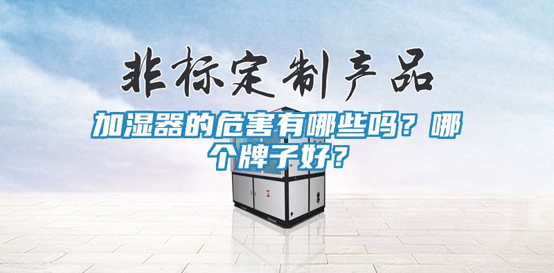 加湿器的危害有哪些吗？哪个牌子好？