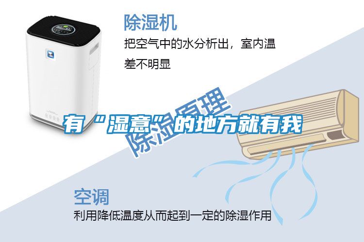 有“湿意”的地方就有我