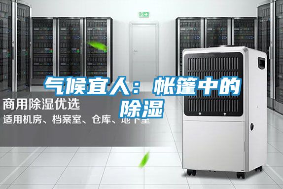 气候宜人：帐篷中的除湿