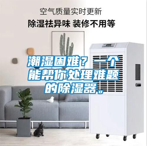 潮湿困难？一个能帮你处理难题的除湿器。
