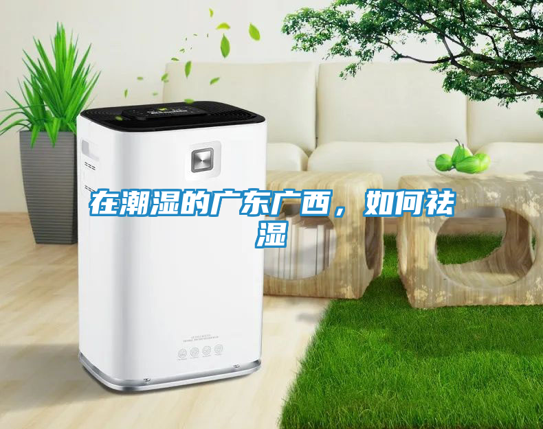 在潮湿的广东广西，如何祛湿