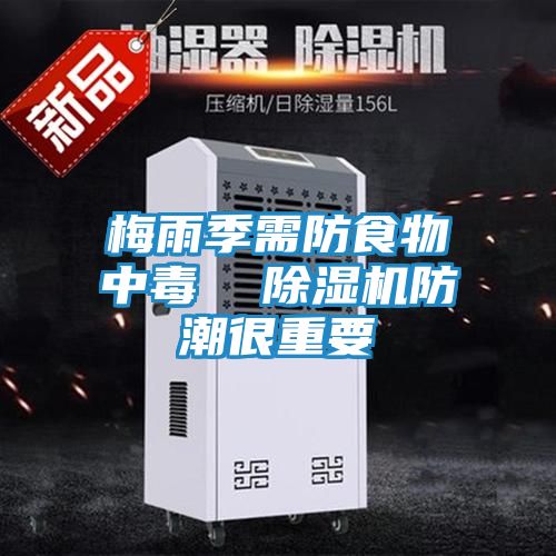 梅雨季需防食物中毒  除湿机防潮很重要