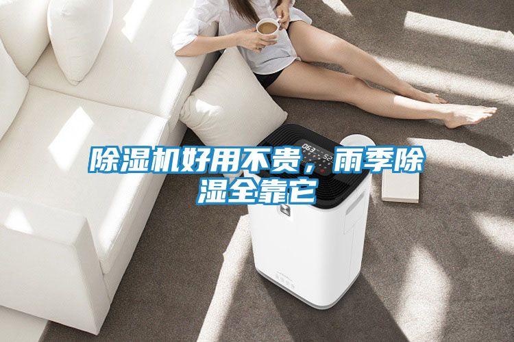 除湿机好用不贵，雨季除湿全靠它