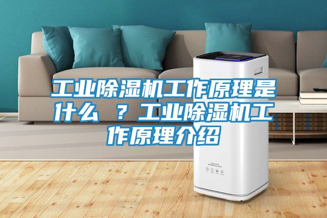 工业除湿机工作原理是什么 ？工业除湿机工作原理介绍