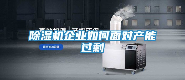 除湿机企业如何面对产能过剩