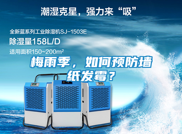梅雨季，如何预防墙纸发霉？