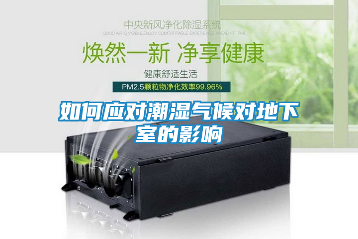 如何应对潮湿气候对地下室的影响