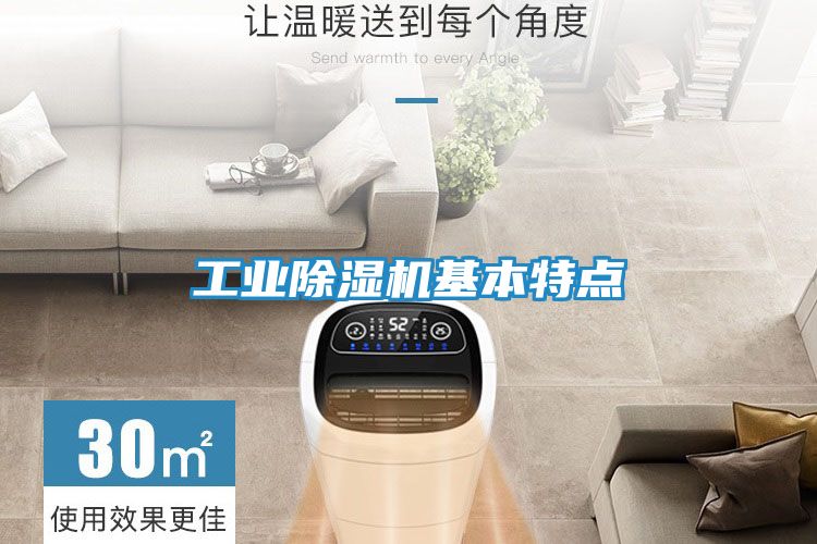 工业除湿机基本特点