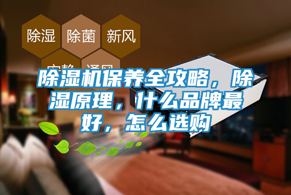 除湿机保养全攻略，除湿原理，什么品牌最好，怎么选购