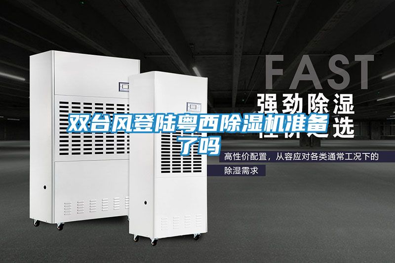 双台风登陆粤西除湿机准备了吗