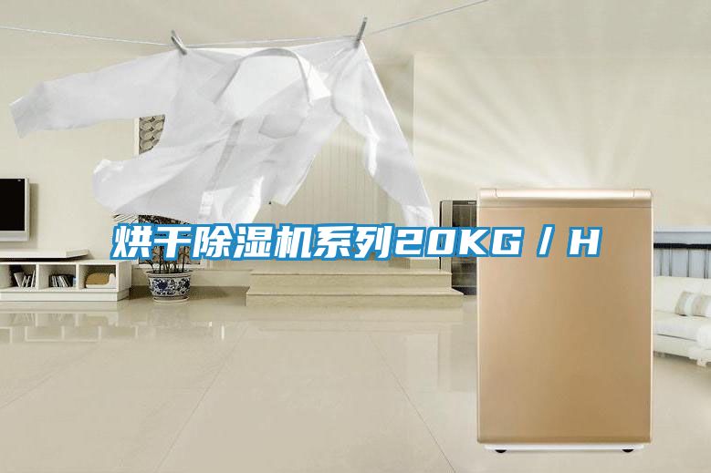 烘干除湿机系列20KG／H
