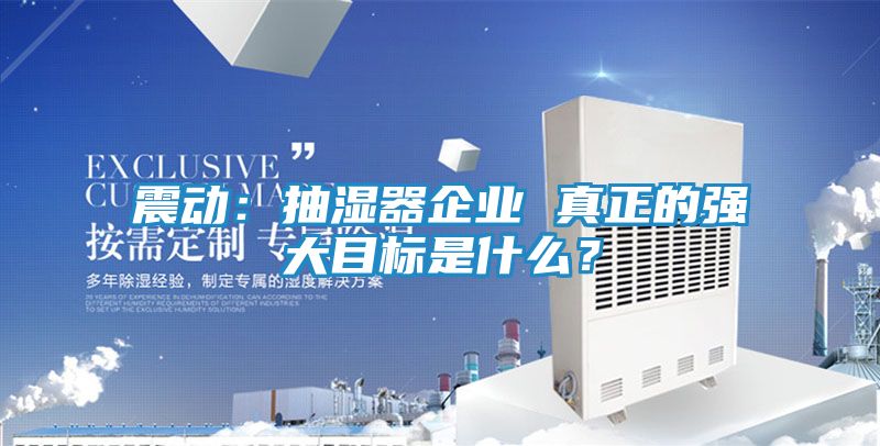 震动：抽湿器企业 真正的强大目标是什么？