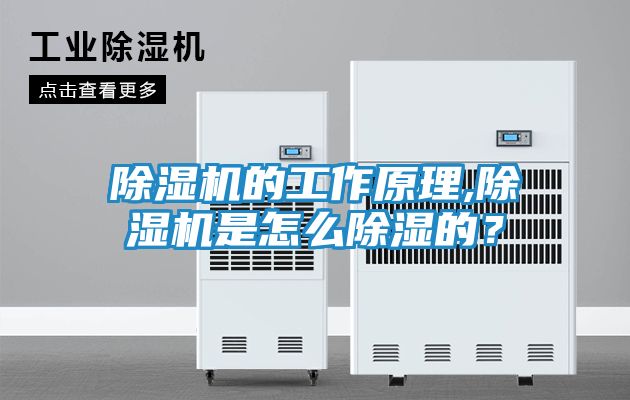 除湿机的工作原理,除湿机是怎么除湿的？
