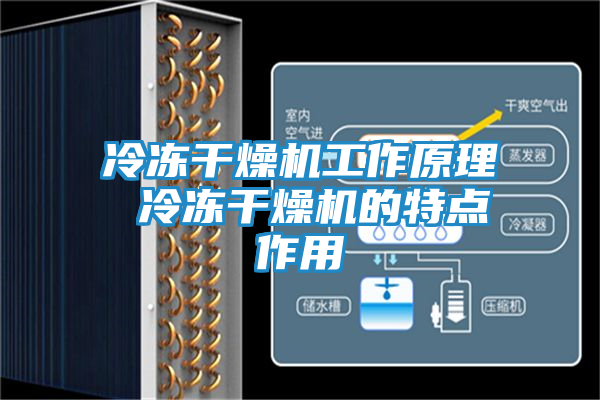 冷冻干燥机工作原理 冷冻干燥机的特点作用