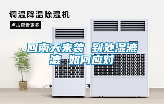 回南天来袭 到处湿漉漉 如何应对