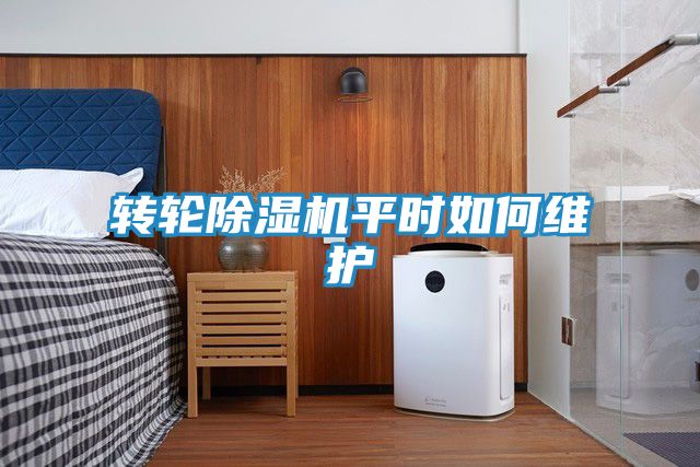 转轮除湿机平时如何维护