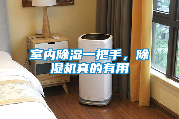 室内除湿一把手，除湿机真的有用