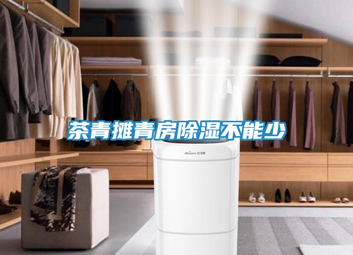 茶青摊青房除湿不能少