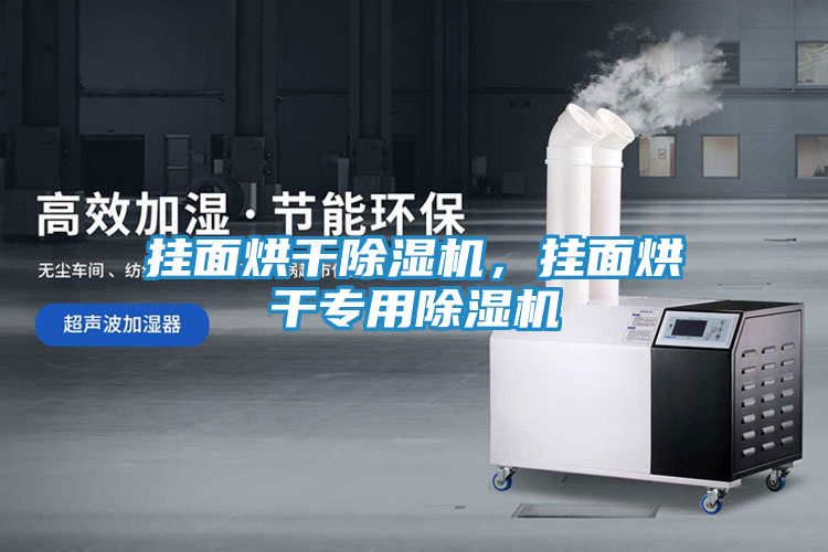 挂面烘干除湿机，挂面烘干专用除湿机