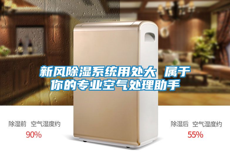 新风除湿系统用处大 属于你的专业空气处理助手