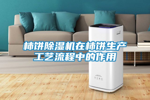 柿饼除湿机在柿饼生产工艺流程中的作用