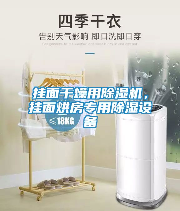 挂面干燥用除湿机，挂面烘房专用除湿设备