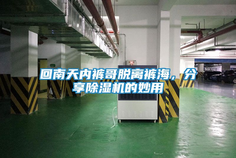 回南天内裤哥脱离裤海，分享除湿机的妙用