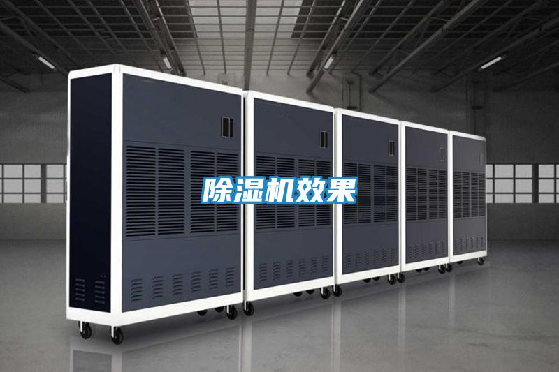 除湿机效果