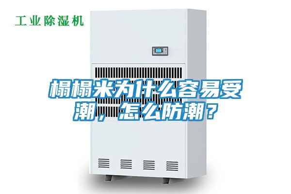 榻榻米为什么容易受潮，怎么防潮？