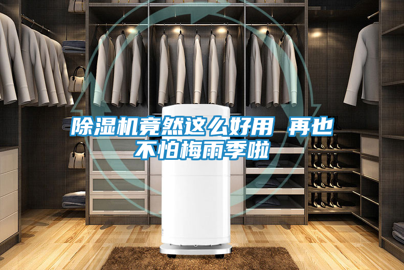 除湿机竟然这么好用 再也不怕梅雨季啦