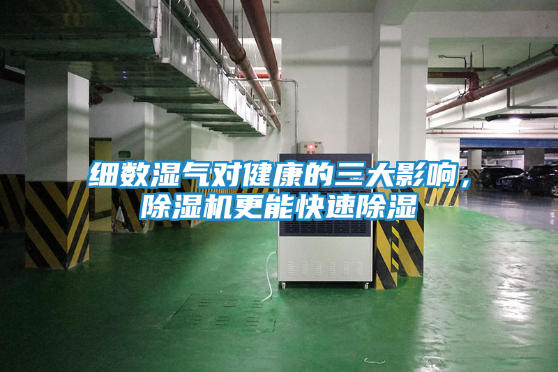 细数湿气对健康的三大影响,除湿机更能快速除湿