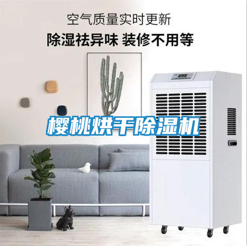 樱桃烘干除湿机