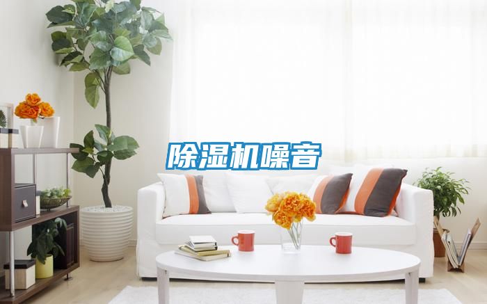 除湿机噪音