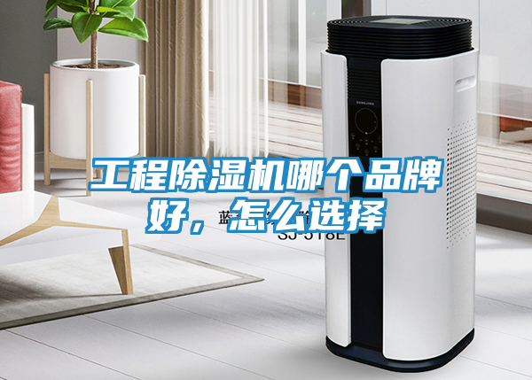 工程除湿机哪个品牌好，怎么选择