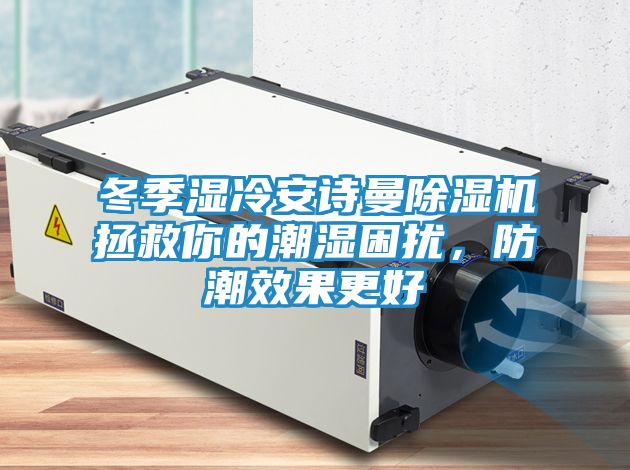 冬季湿冷安诗曼除湿机拯救你的潮湿困扰，防潮效果更好