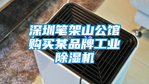 深圳笔架山公馆购买某品牌工业除湿机