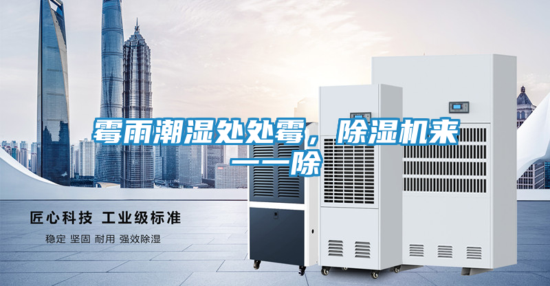 霉雨潮湿处处霉,除湿机来一一除