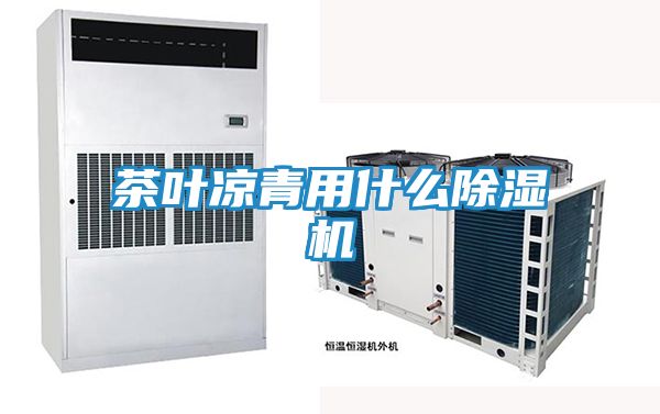 茶叶凉青用什么除湿机